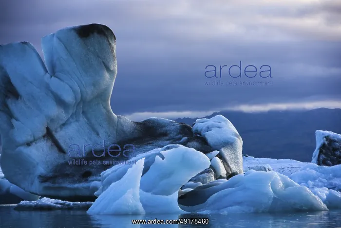 : Calved icebergs, glacial lake, Jokularson : Calved icebergs, glacial lake, Jokularson