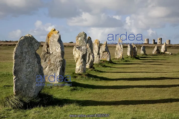  : Camaret-sur-Mer menhir Lagatjar, Brittany, France