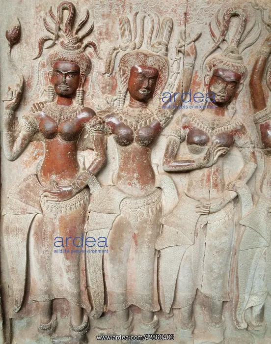 : Cambodia - 12th-century Devatas (deity, divinity) : Cambodia - 12th-century Devatas (deity, divinity)