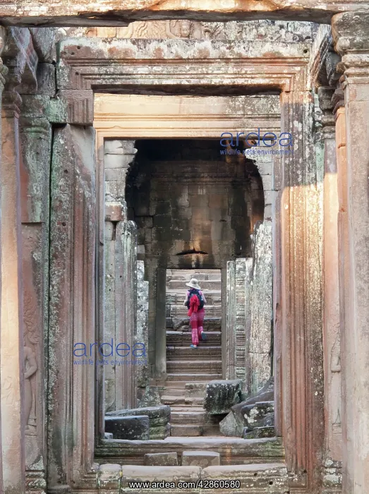 : Cambodia - One of the accesses to the Bayon, a : Cambodia - One of the accesses to the Bayon, a