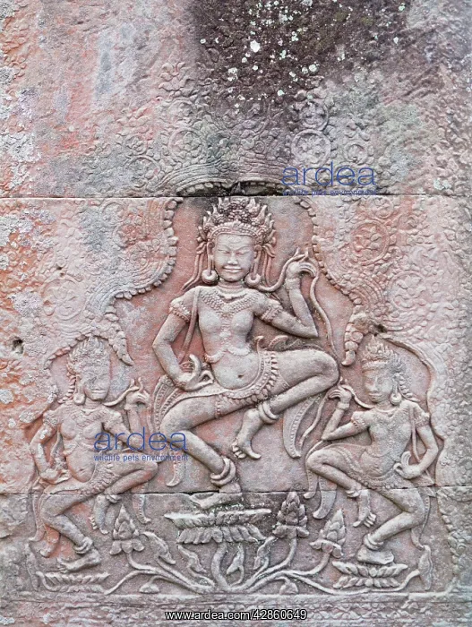 : Cambodia - Apsaras (celestial dancer nymphs) in : Cambodia - Apsaras (celestial dancer nymphs) in