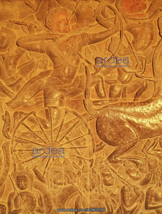 : Cambodia - Bas-reliefs of the Battle of Kurukshetra : Cambodia - Bas-reliefs of the Battle of Kurukshetra