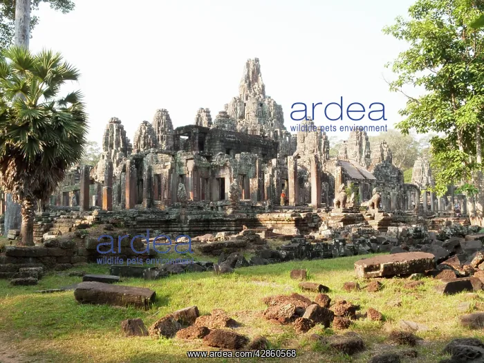 : Cambodia - The Bayon with its numerous Prasats : Cambodia - The Bayon with its numerous Prasats