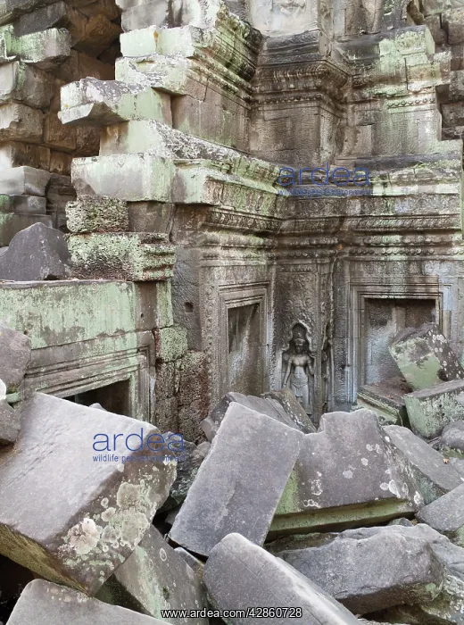 : Cambodia - Collapsed blocks of stone from a temple : Cambodia - Collapsed blocks of stone from a temple