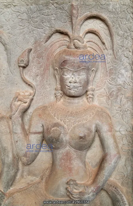 : Cambodia - Devata (deity, divinity) in the temple : Cambodia - Devata (deity, divinity) in the temple