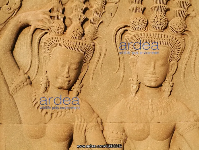 : Cambodia - Devatas (deity, divinity) in the temple : Cambodia - Devatas (deity, divinity) in the temple