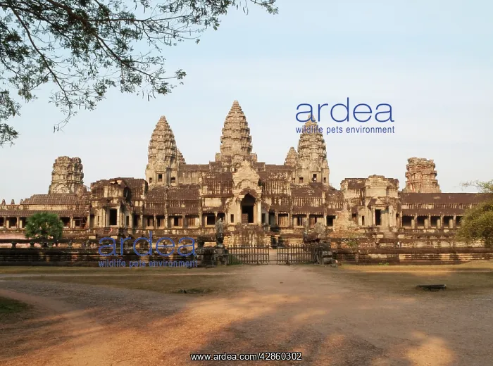 : Cambodia - The east side of the temple of Angkor : Cambodia - The east side of the temple of Angkor