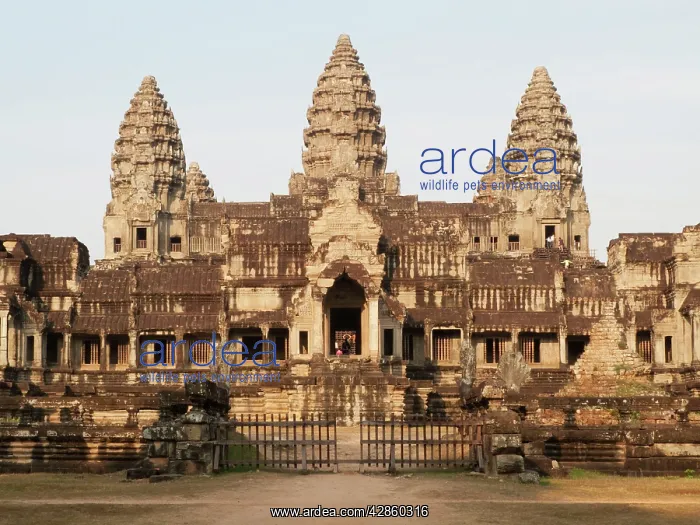 : Cambodia - The east side of the temple of Angkor : Cambodia - The east side of the temple of Angkor