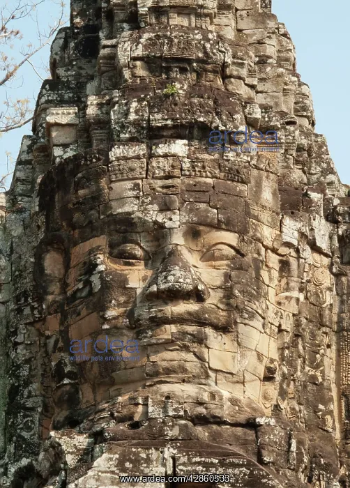 : Cambodia - The face of Lokeshvara ('Lord of the : Cambodia - The face of Lokeshvara ('Lord of the