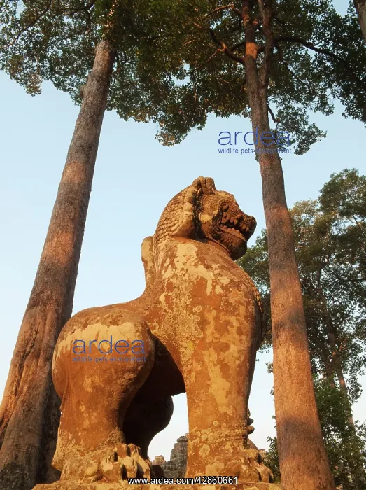: Cambodia - Lion statue at the Bayon, a temple in : Cambodia - Lion statue at the Bayon, a temple in