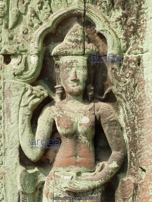 : Cambodia - Niche with a Devata (deity, divinity) : Cambodia - Niche with a Devata (deity, divinity)