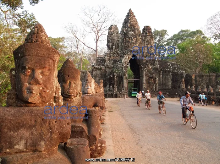 : Cambodia - The South Gate of Angkor Thom, the Great : Cambodia - The South Gate of Angkor Thom, the Great