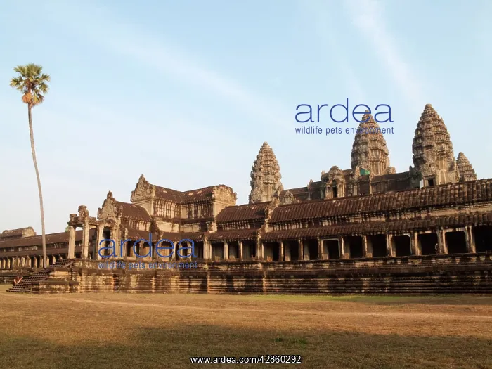 : Cambodia - The south side of the temple of Angkor : Cambodia - The south side of the temple of Angkor