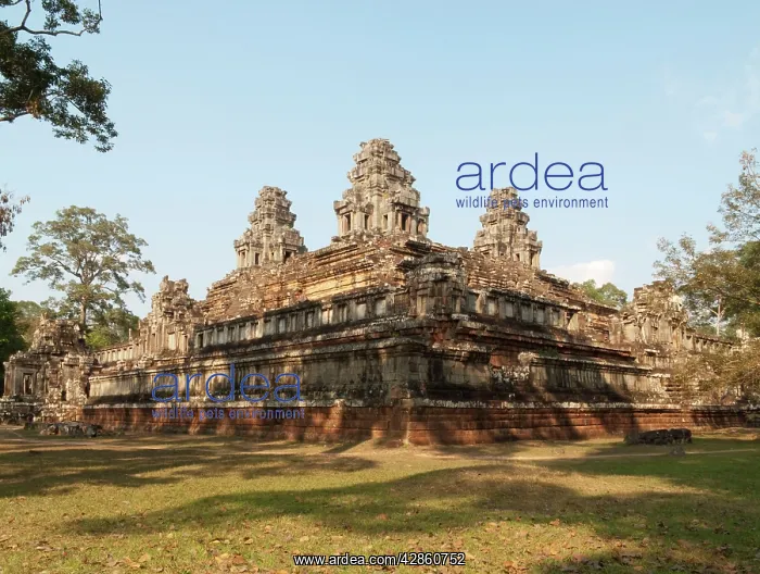  : Cambodia - The Ta Keo temple in Angkor. The temple