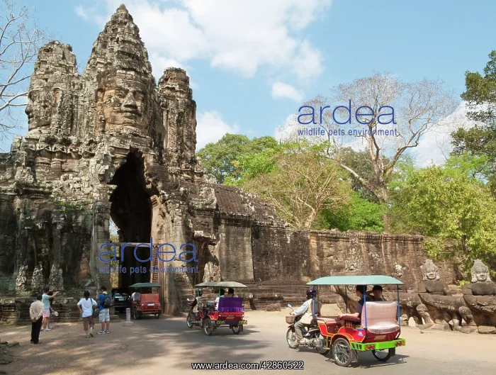 : Cambodia - Tuk-tuks at the South Gate of Angkor : Cambodia - Tuk-tuks at the South Gate of Angkor
