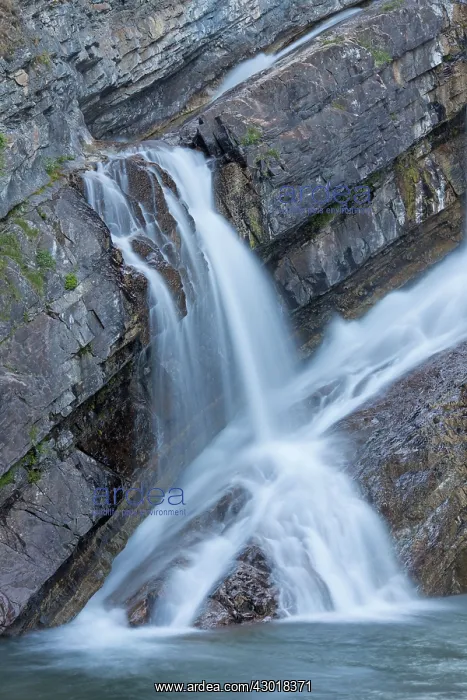  : Cameron Falls