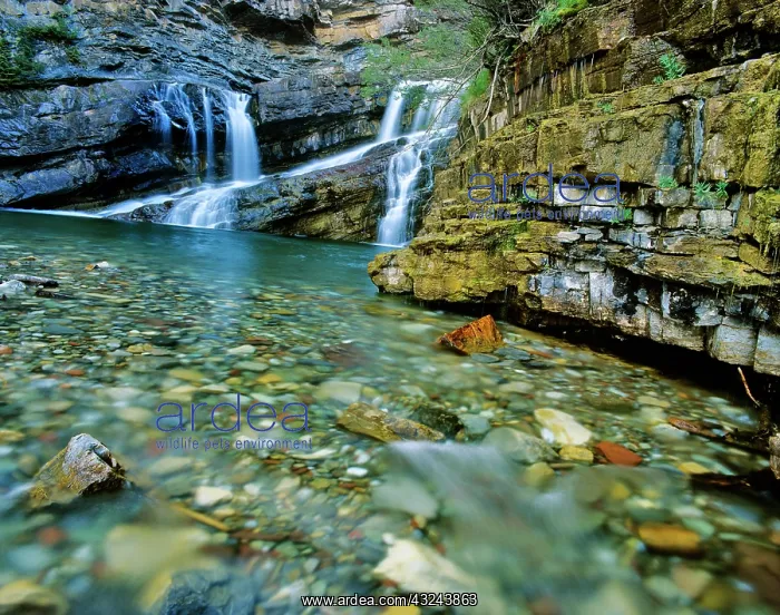 : Cameron Falls in Waterton Lakes National : Cameron Falls in Waterton Lakes National