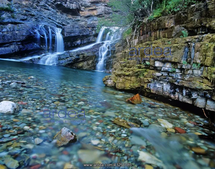 : Cameron Falls in Waterton Lakes National : Cameron Falls in Waterton Lakes National