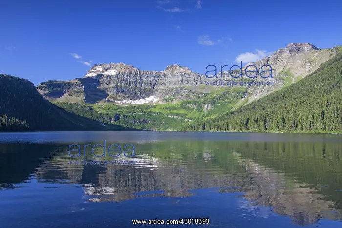  : Cameron Lake