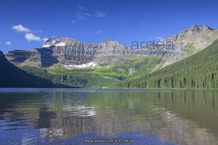  : Cameron Lake