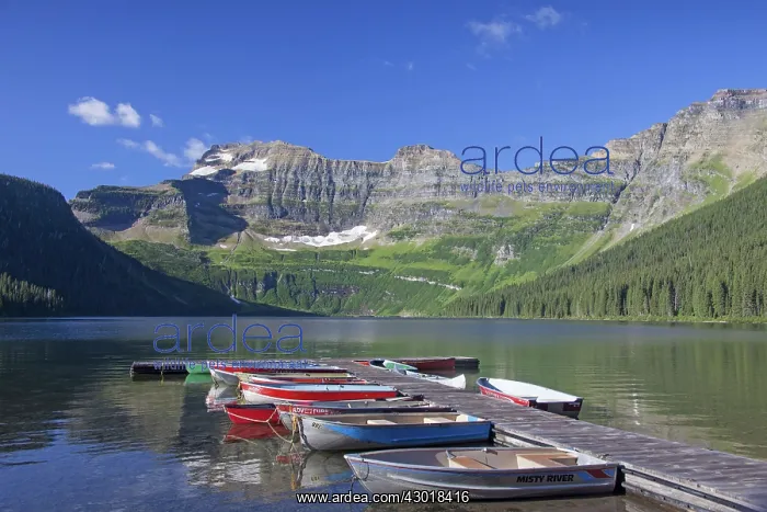  : Cameron Lake