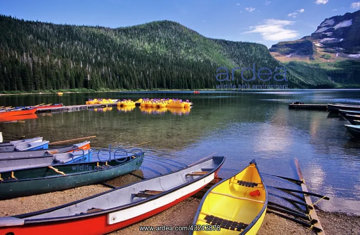 : Cameron Lake in Waterton Lakes National : Cameron Lake in Waterton Lakes National