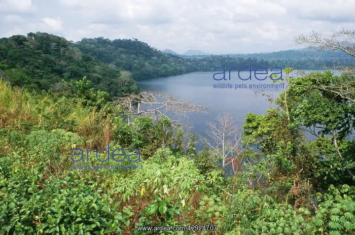 : Cameroon, West Africa - Crater lake : Cameroon, West Africa - Crater lake