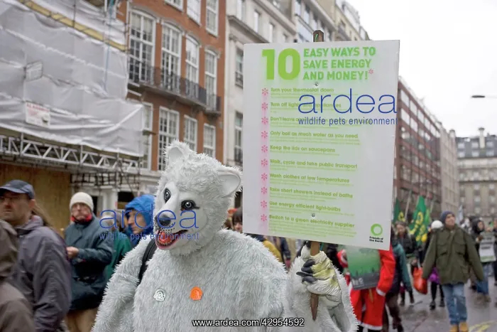 : Campaigner in bear costume with Energy Saving banner : Campaigner in bear costume with Energy Saving banner
