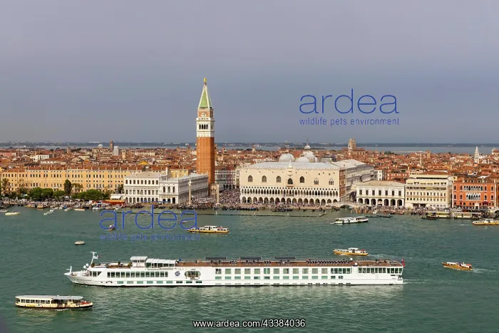 : Campanile di San Marco and Palazzo Ducale, the river cruise : Campanile di San Marco and Palazzo Ducale, the river cruise