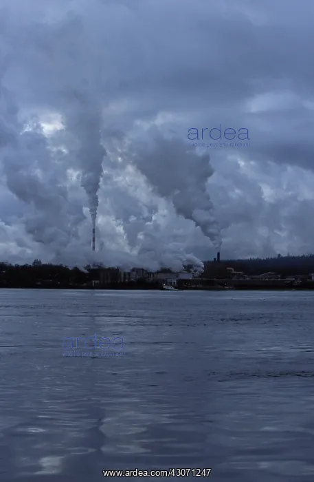 : Campbell River Paper Mill : Campbell River Paper Mill