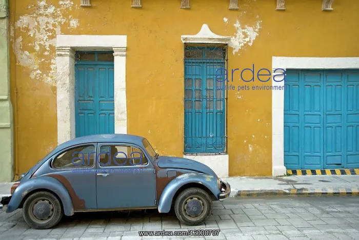  : Campeche Mexico