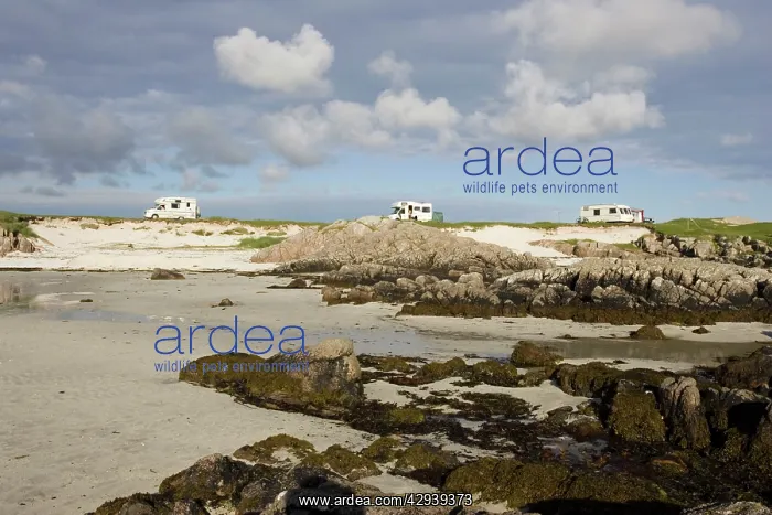 : Camper vans parked near beach at Fidden Farm : Camper vans parked near beach at Fidden Farm