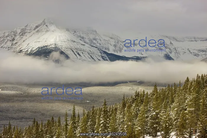 : Canada, Alberta, Banff National Park. A : Canada, Alberta, Banff National Park. A