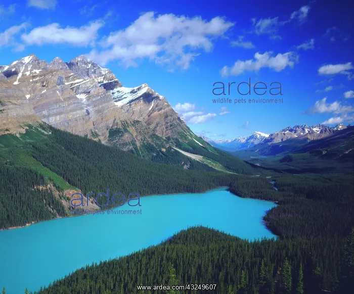 : Canada, Alberta, Banff National Park. A : Canada, Alberta, Banff National Park. A