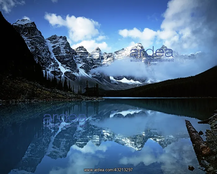 : Canada, Alberta, Banff National Park, Lake : Canada, Alberta, Banff National Park, Lake