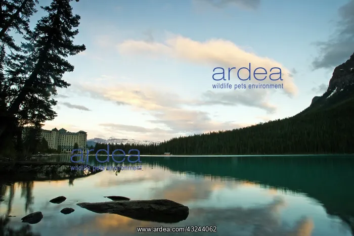 : Canada, Alberta, Banff National Park, Lake : Canada, Alberta, Banff National Park, Lake