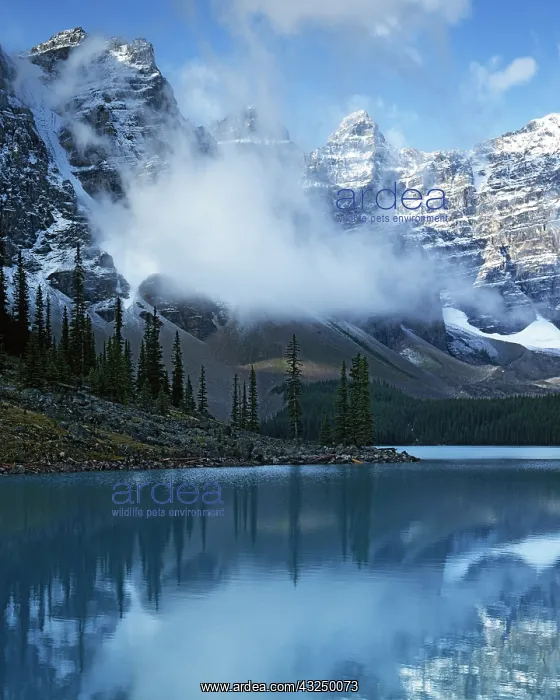 : Canada, Alberta, Banff National Park, Lake : Canada, Alberta, Banff National Park, Lake