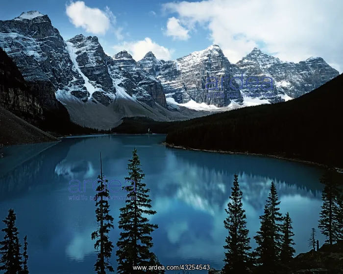 : Canada, Alberta, Banff National Park, Lake : Canada, Alberta, Banff National Park, Lake
