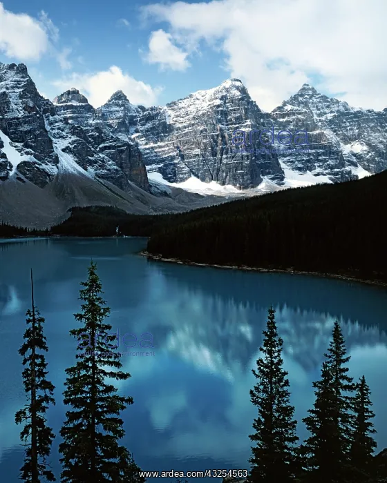: Canada, Alberta, Banff National Park, Lake : Canada, Alberta, Banff National Park, Lake