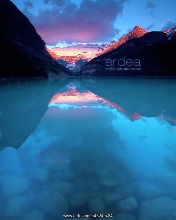 : Canada, Alberta, Banff National Park. Sunrise : Canada, Alberta, Banff National Park. Sunrise