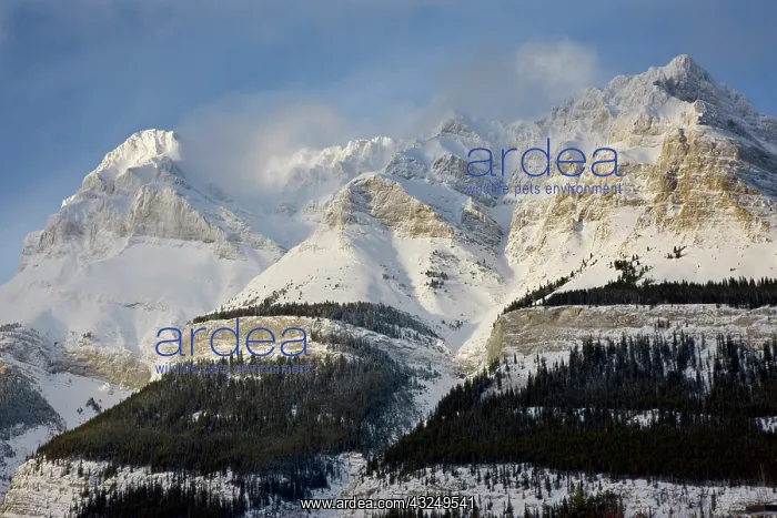  : Canada, Alberta, Banff National Park. View