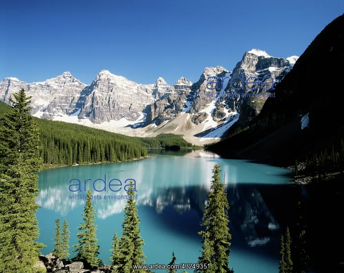 : Canada, Alberta, Banff National Park, Wenkchemna : Canada, Alberta, Banff National Park, Wenkchemna