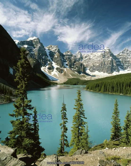 : Canada, Alberta, Banff National Park, Wenkchemna : Canada, Alberta, Banff National Park, Wenkchemna