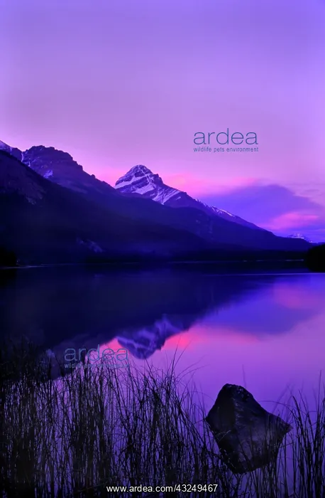 : Canada, Alberta, Banff. Sunset along Icefields : Canada, Alberta, Banff. Sunset along Icefields