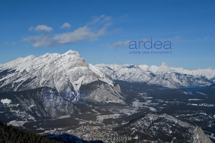 : Canada, Alberta, Banff. Views of Banff & : Canada, Alberta, Banff. Views of Banff &