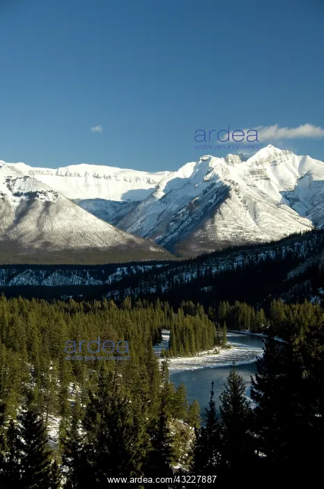: Canada, Alberta, Banff. Views of the Bow : Canada, Alberta, Banff. Views of the Bow