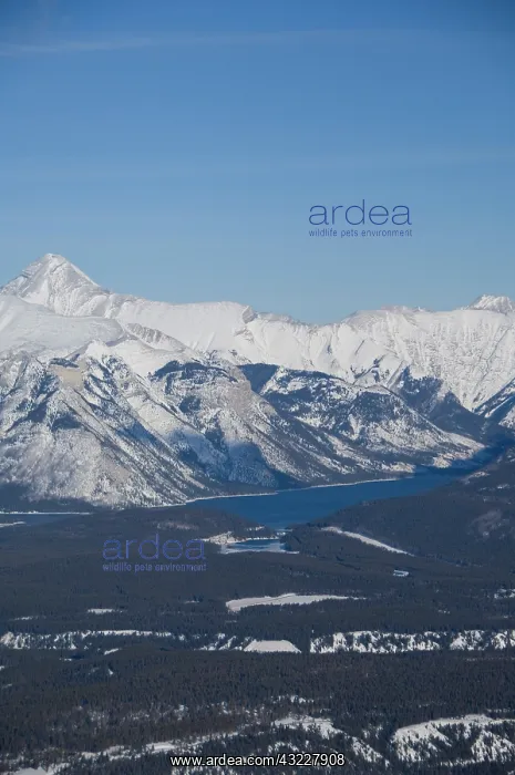 : Canada, Alberta, Banff. Views of the Bow : Canada, Alberta, Banff. Views of the Bow