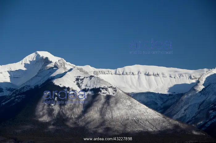 : Canada, Alberta, Banff. Views from the summit : Canada, Alberta, Banff. Views from the summit