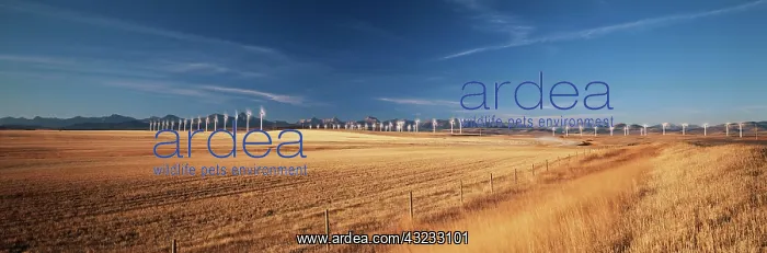 : Canada, Alberta, Cowley, Crowsnest Pass : Canada, Alberta, Cowley, Crowsnest Pass