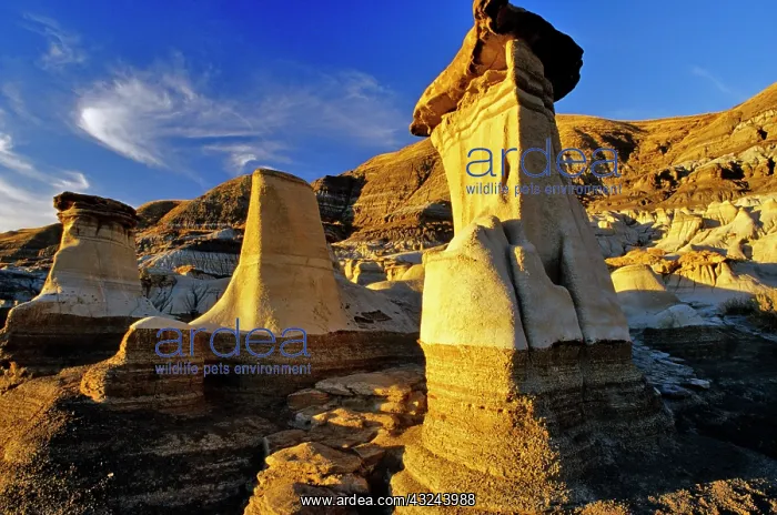 : Canada, Alberta, Drumheller. Hoodoos : Canada, Alberta, Drumheller. Hoodoos